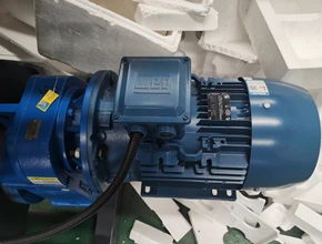 Bearing brand: ZWZ. Gear box brand: TONGLI. Motor brand: WEG