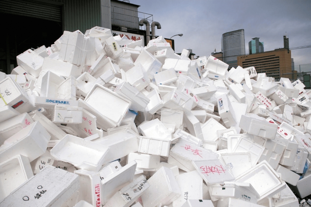 Recycling EPS Packaging Waste from Electronics Industry